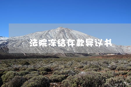 法院冻结存款异议书 法院冻结存款异议书