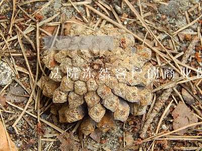 法院冻结客户的商业保险 法院冻结客户的商业保险