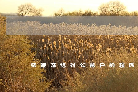 法院冻结对公账户的程序是什么 法院冻结对公账户的程序是什么