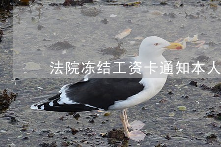 法院冻结工资卡通知本人吗 法院冻结工资卡通知本人吗