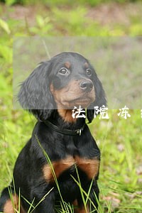 法院冻结当事人账户不用通知吗 法院冻结当事人账户不用通知吗
