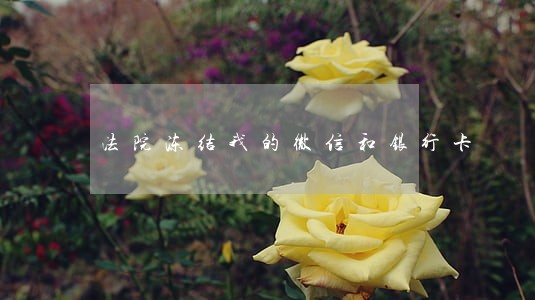 法院冻结我的微信和银行卡 法院冻结我的微信和银行卡