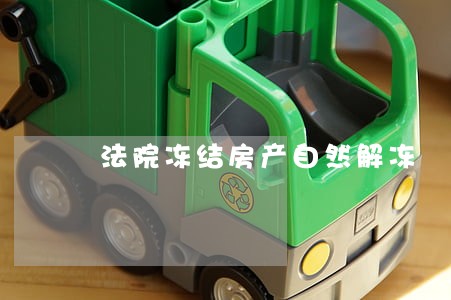 法院冻结房产自然解冻