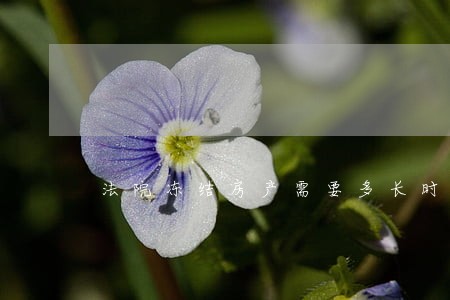 法院冻结房产需要多长时间 法院冻结房产需要多长时间