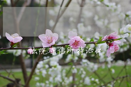 法院冻结所持证件 法院冻结所持证件