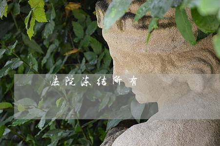 法院冻结所有
