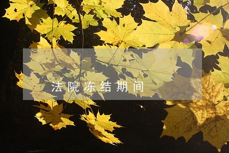 法院冻结期间 法院冻结期间