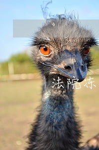 法院冻结期限三年合适吗