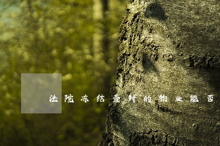 法院冻结查封的物业能否出租
