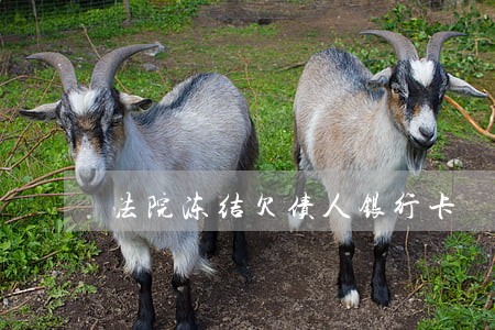 法院冻结欠债人银行卡 法院冻结欠债人银行卡
