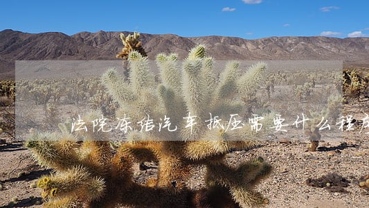 法院冻结汽车抵压需要什么程序