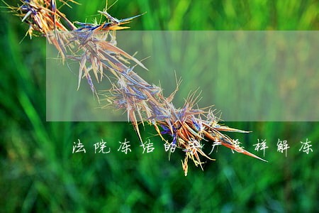 法院冻结的房产怎样解冻