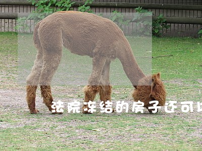 法院冻结的房子还可以自卖吗 法院冻结的房子还可以自卖吗