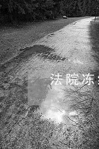 法院冻结的支票会盖什么章