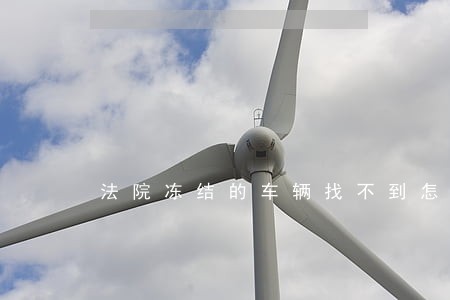 法院冻结的车辆找不到怎么办 法院冻结的车辆找不到怎么办
