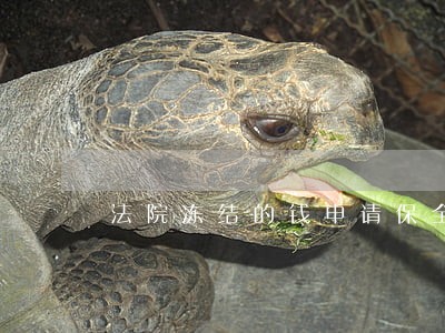 法院冻结的钱申请保全