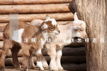 法院冻结的零钱怎样返回 法院冻结的零钱怎样返回