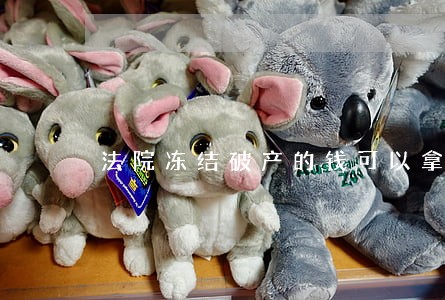 法院冻结破产的钱可以拿的出来吗 法院冻结破产的钱可以拿的出来吗