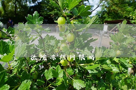 法院冻结网银吗 法院冻结网银吗