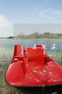 法院冻结股权包括孳息 法院冻结股权包括孳息