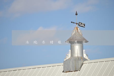 法院冻结股权原因 法院冻结股权原因