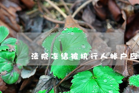 法院冻结被执行人帐户应怎么办 法院冻结被执行人帐户应怎么办