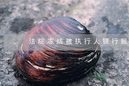 法院冻结被执行人银行账户的程序 法院冻结被执行人银行账户的程序
