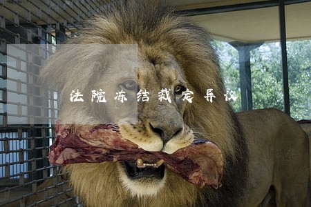 法院冻结裁定异议 法院冻结裁定异议