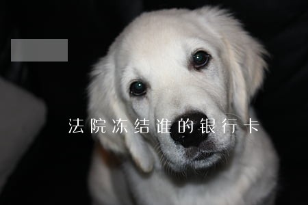 法院冻结谁的银行卡 法院冻结谁的银行卡