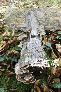法院冻结账户后会怎么样 法院冻结账户后会怎么样