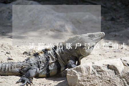 法院冻结账户导致信用卡逾期 法院冻结账户导致信用卡逾期