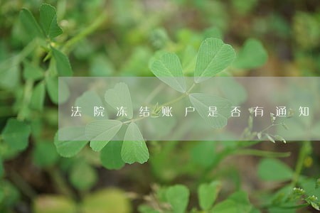 法院冻结账户是否有通知书 法院冻结账户是否有通知书