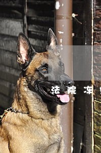 法院冻结账户是所有的 法院冻结账户是所有的