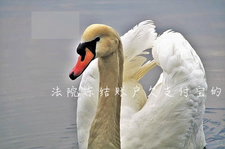 法院冻结账户欠支付宝的贷款 法院冻结账户欠支付宝的贷款