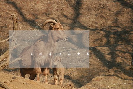 法院冻结超出额 法院冻结超出额