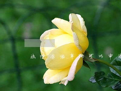 法院冻结车辆可以申请报废吗 法院冻结车辆可以申请报废吗