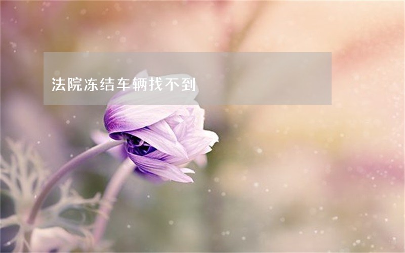 法院冻结车辆找不到 法院冻结车辆找不到