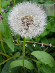 法院冻结退休金期限