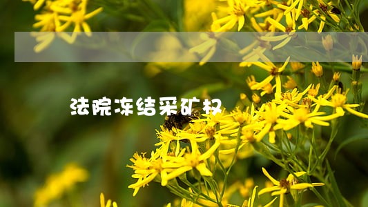 法院冻结采矿权 法院冻结采矿权
