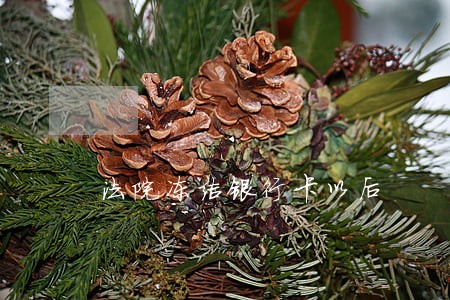 法院冻结银行卡以后 法院冻结银行卡以后