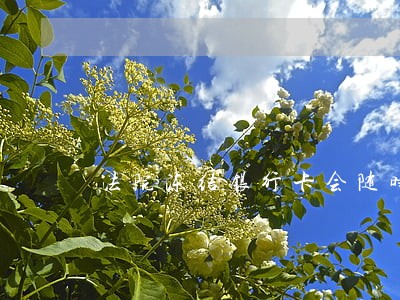 法院冻结银行卡会随时进行吗 法院冻结银行卡会随时进行吗