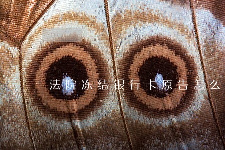 法院冻结银行卡原告怎么提取 法院冻结银行卡原告怎么提取