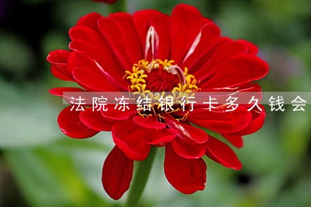 法院冻结银行卡多久钱会划走 法院冻结银行卡多久钱会划走