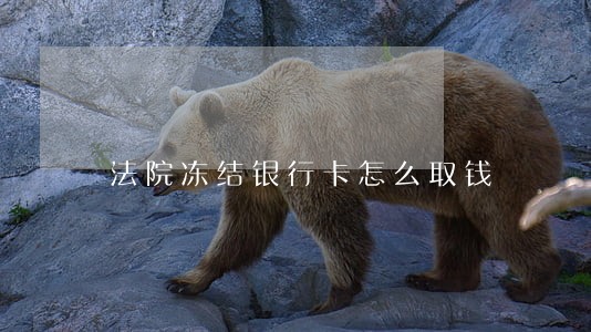 法院冻结银行卡怎么取钱 法院冻结银行卡怎么取钱
