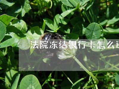 法院冻结银行卡怎么还信用卡 法院冻结银行卡怎么还信用卡