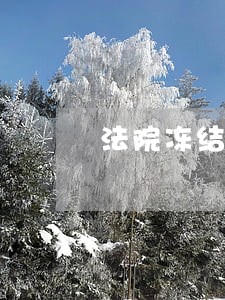 法院冻结银行卡是一张还是多张 法院冻结银行卡是一张还是多张