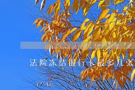 法院冻结银行卡最多几张卡 法院冻结银行卡最多几张卡