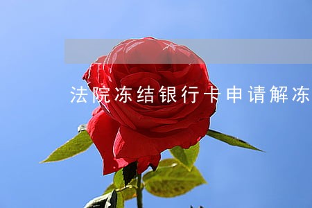 法院冻结银行卡申请解冻