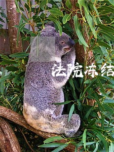 法院冻结银行卡需要告知本人
