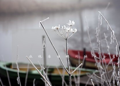 法院冻结银行账户会有什么影响吗 法院冻结银行账户会有什么影响吗